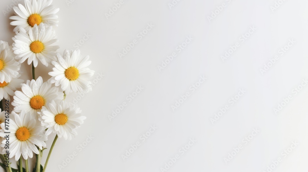 Daisy Flower Decoration on a White Background, Perfect for Wedding Design. Generative AI