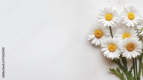 Daisy Flower Decoration on a White Background, Perfect for Wedding Design. Generative AI