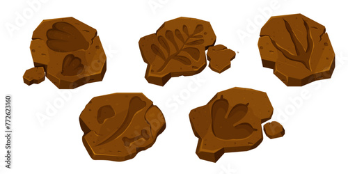 Set dinosaur fossil, paw print, reptile foot trail isolated on white background. Archaeological and paleontology finds.