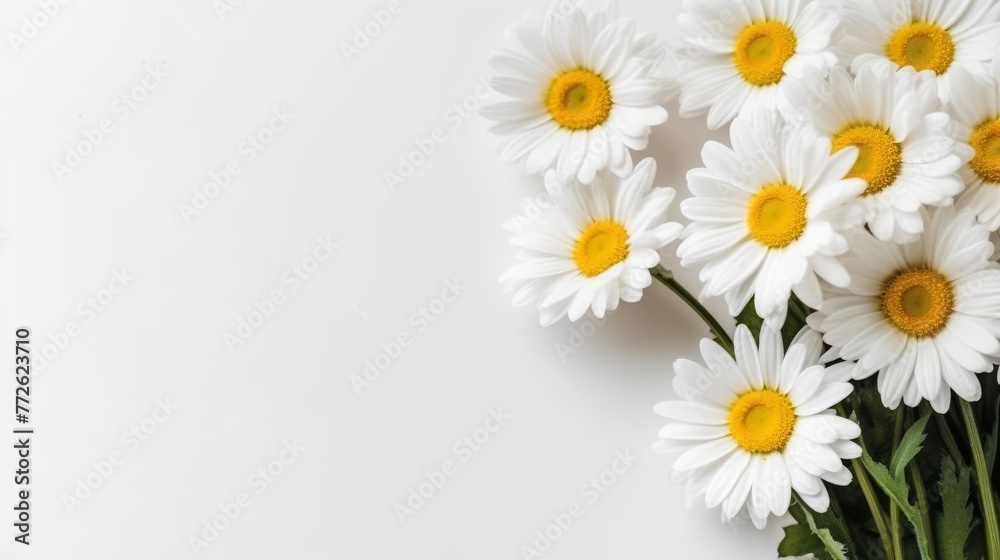 Fototapeta premium Daisy Flower Decoration on a White Background, Perfect for Wedding Design. Generative AI