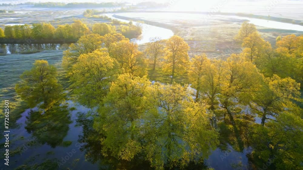 aerial view of the green forest aerial view of the green forest