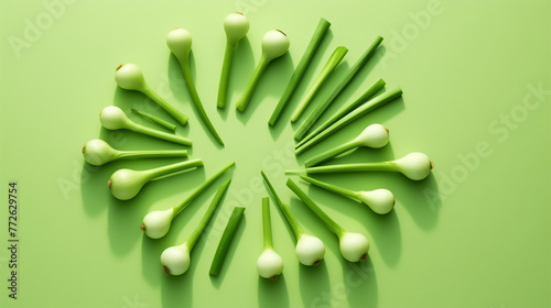 close up of green onion