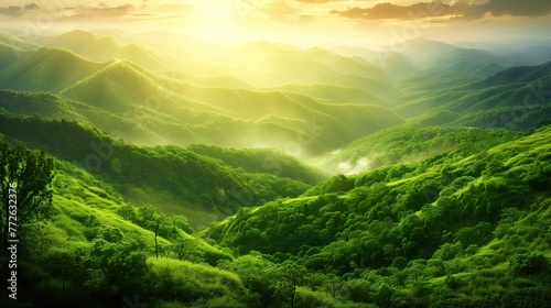 Majestic Rainforest Mountains: Breathtaking Landscape Wallpaper © Matt