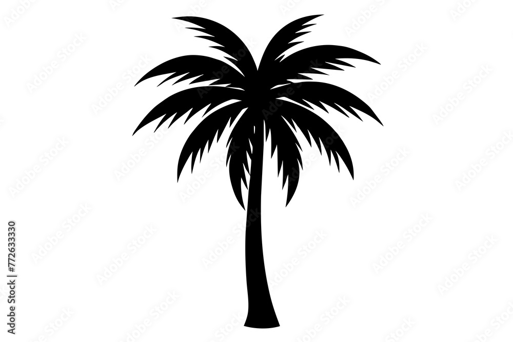 Palm Tree and Coconut Tree Silhouettes on Transparent Background Palm Tree and Coconut Tree Silhouettes on Transparent Background