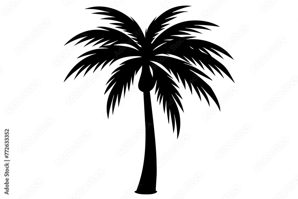 Palm Tree and Coconut Tree Silhouettes on Transparent Background Palm Tree and Coconut Tree Silhouettes on Transparent Background