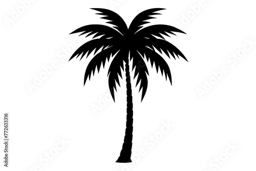 Palm Tree and Coconut Tree Silhouettes on Transparent Background © Maruf