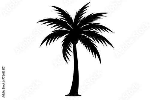 Palm Tree and Coconut Tree Silhouettes on Transparent Background