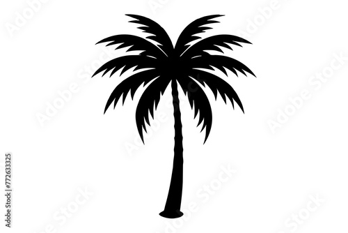 Palm Tree and Coconut Tree Silhouettes on Transparent Background