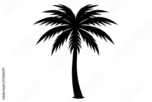 Palm Tree and Coconut Tree Silhouettes on Transparent Background