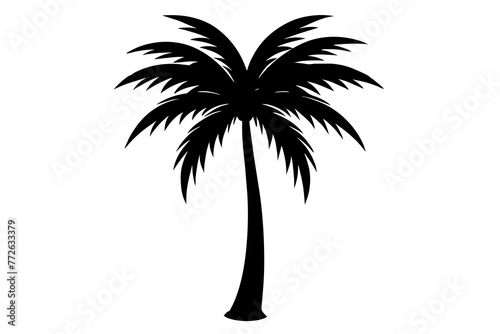 palm tree silhouette