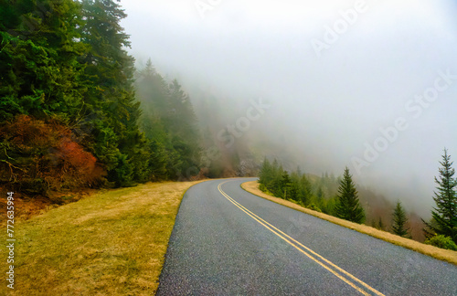 A nice foggy landscape along the famous Blue Ridge Parkway in the Blue Ridge Mountains of North Carolina in Spring. Copy space. © Mark Alan Howard