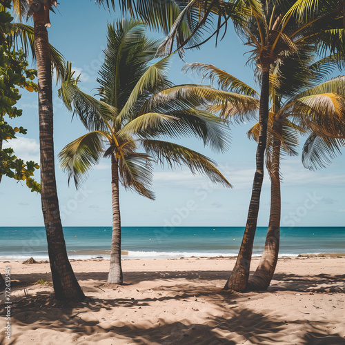 Tropical Beach Paradise with Lush Palm Trees and Tranquil Sea © HustlePlayground