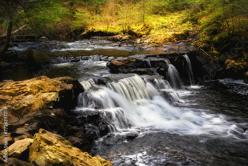 Spring at Ricketts Glen State Park in Benton PA. Known for its 21 waterfalls and old-growth forest and boulders. Hiking the loop on a cold Spring Day. 