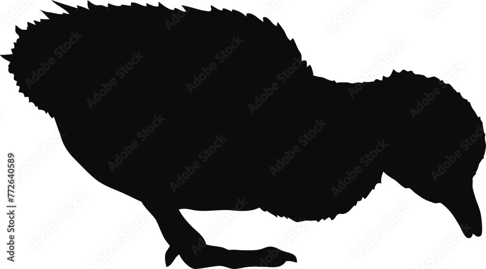 duck sillhouetes
