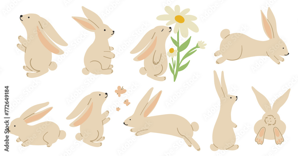 Cute rabbit set. Adorable bunny collection. Hand drawing animals ...