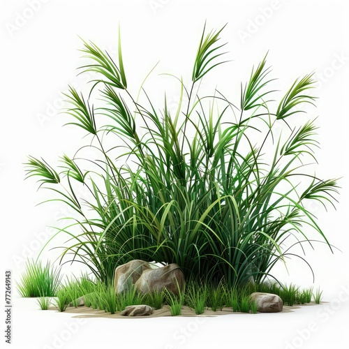 A realistic tussock with a white background, simple design, illustration made with generative AI