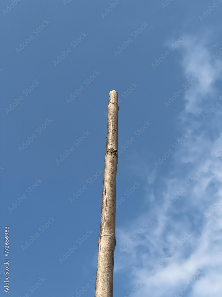 old bamboo pole in the park