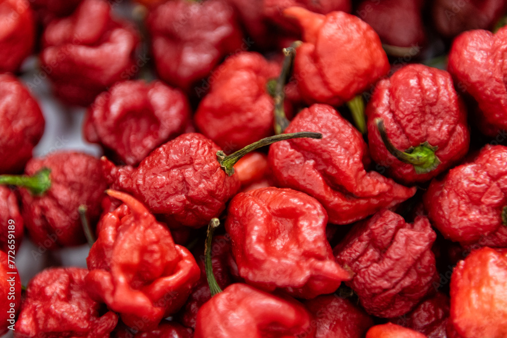 Carolina Reaper, the hottest chili pepper in the world Carolina Reaper, the hottest chili pepper in the world