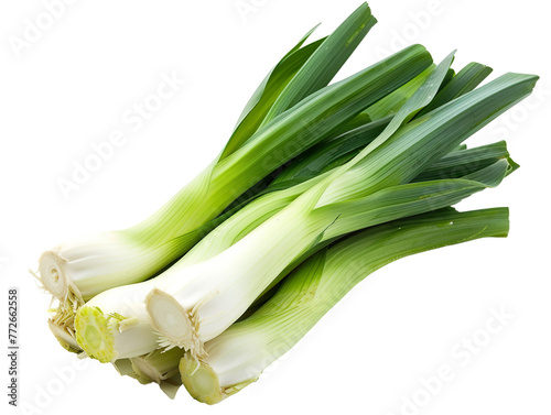 Leek with a leaf, seen from the front. png file of isolated cutout object with white background