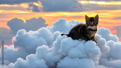 Adorable Kitten on the cloud, AI generated © Kim