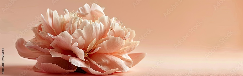 Peachy Peony on Neutral Beige: Stylish Floral Still Life Composition