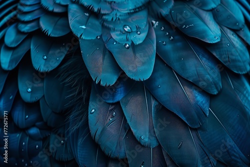 Bird animal texture design round pigeon crow cygnet. Generative Ai photo