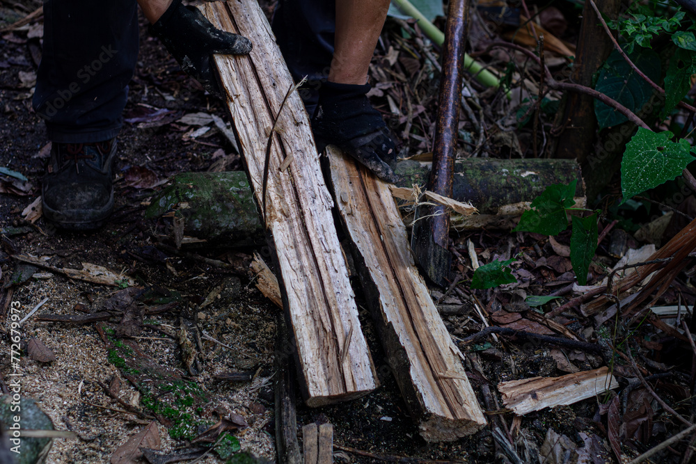 Fototapeta premium Man holding heavy Axe in lumberjack hands chopping or cutting wood trunks