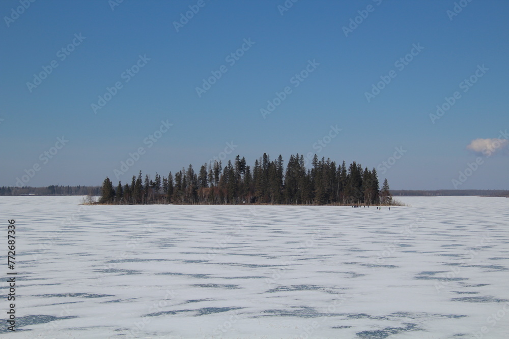 Obraz premium Frozen Island, Elk Island National Park, Alberta