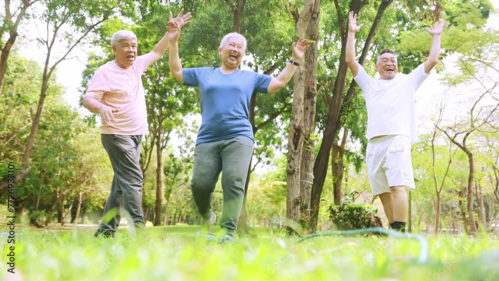 Vidéo Stock Group asian senior citizens join together outdoor exercise ...