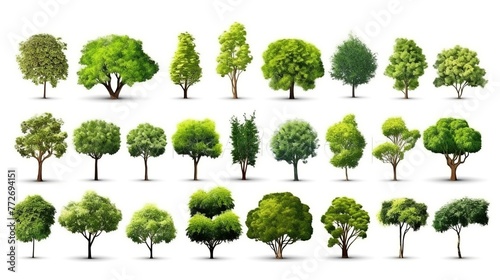 Collection of green trees isolated on white background