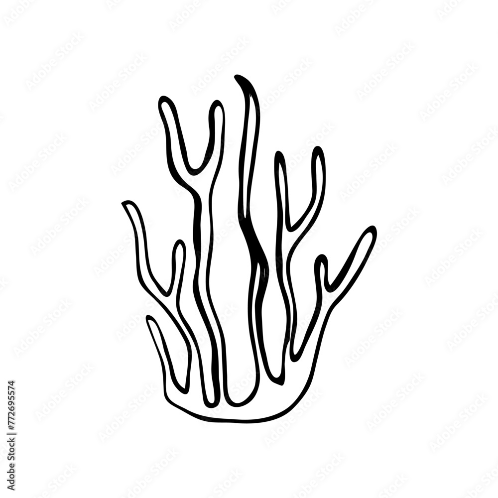 Sea plant in doodle style. Vector single hand drawn sea coral. Sea plant in doodle style. Vector single hand drawn sea coral.