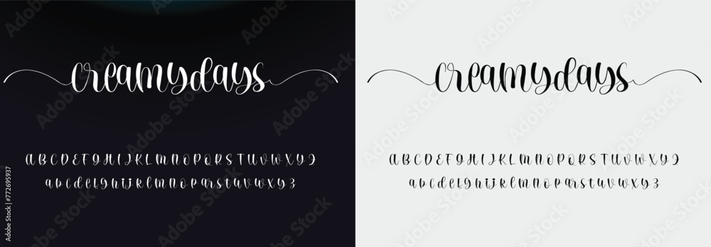 signature Font Calligraphy Logotype Script Brush Font Type Font lettering handwritten