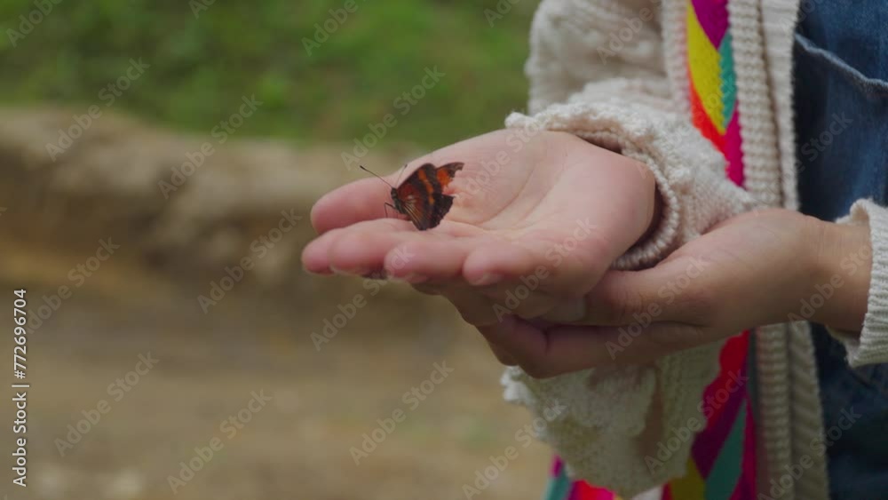 butterfly spreading wings, resting on palm of a hand in nature, butterfly spreading wings, resting on palm of a hand in nature,