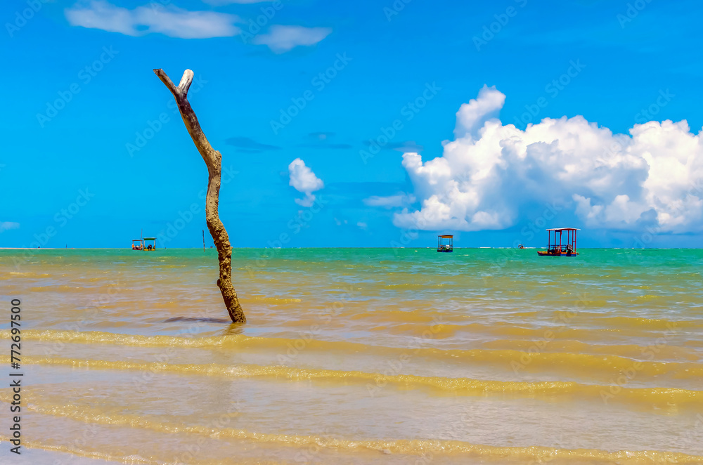 Fototapeta premium Maragogi -Maceio, Alagoas, Brazil