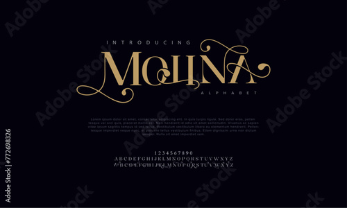 Molina premium luxury elegant alphabet letters and numbers. Vintage wedding typography classic serif font decorative vintage retro. Creative vector illustration photo