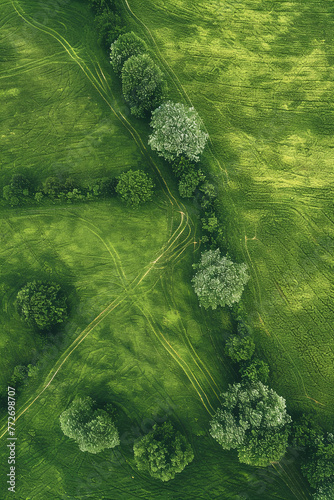 Aerial view of green field with trees for background