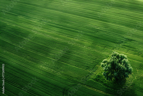 Aerial view of green field with trees for background