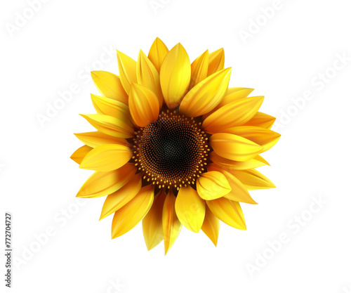 sunflower isolated on white background © I Love Png