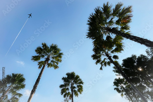 Group of silhouette palm trees on freshness tropical beautiful clear summer blue sky and flying aircraft background. Image use for travel business and meteorology forecast background.