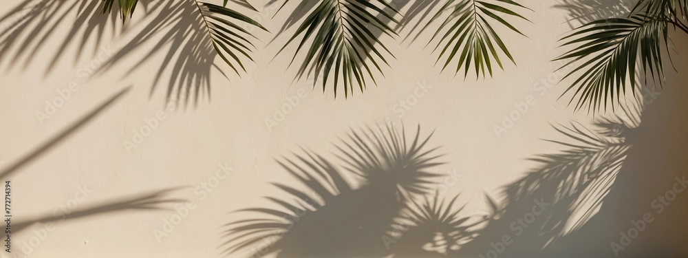 palm tree and sky | palm tree branches clouseup | empty background for texture palm tree and sky | palm tree branches clouseup | empty background for texture