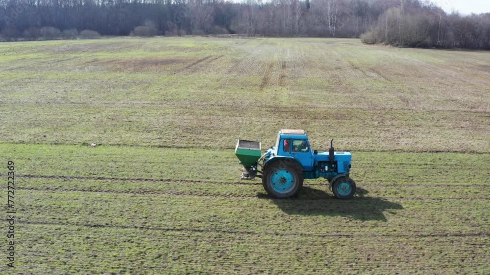 Farmer drive old tractor and spray granular fertilizer on green wheat field Farmer drive old tractor and spray granular fertilizer on green wheat field