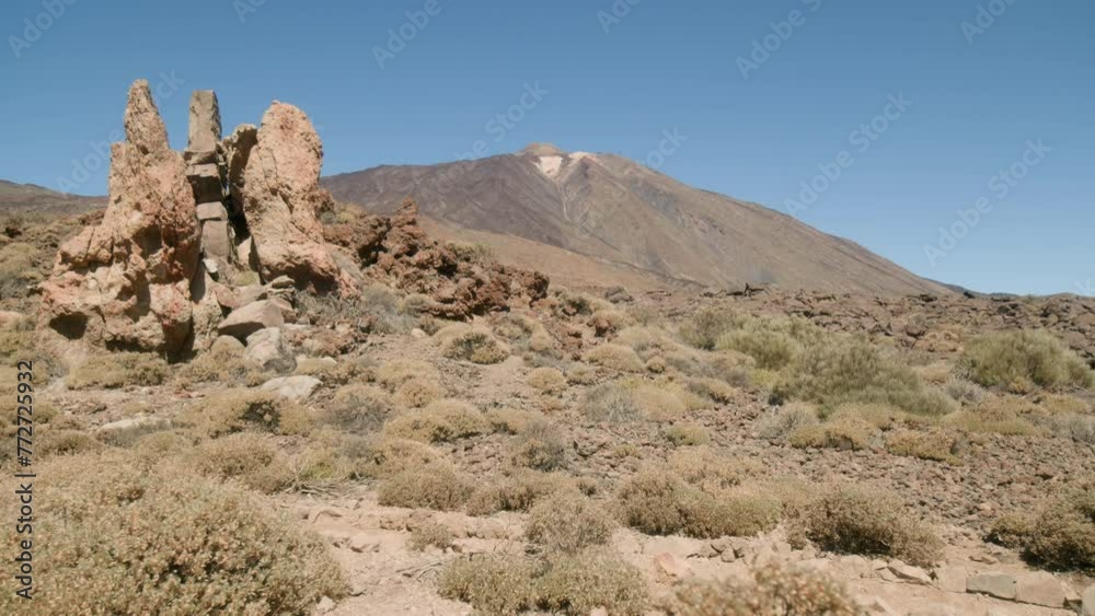 Pico del Teide with rocks and dry shrubs in Los Roques de Garcia, Teide National Park in Tenerife, Canary Islands in spring Pico del Teide with rocks and dry shrubs in Los Roques de Garcia, Teide National Park in Tenerife, Canary Islands in spring