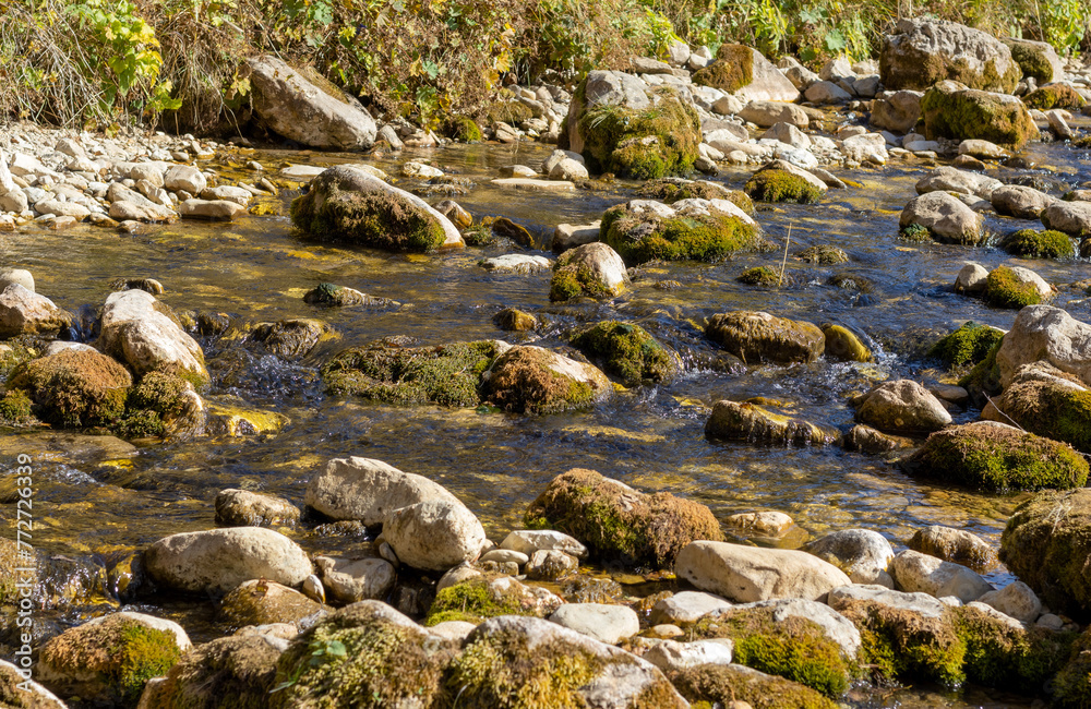 shallow riverbed with a rocky bottom on a sunny day, autumn golden hue in the water. shallow riverbed with a rocky bottom on a sunny day, autumn golden hue in the water.