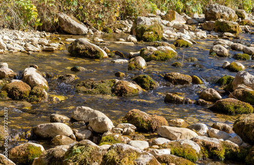 shallow riverbed with a rocky bottom on a sunny day, autumn golden hue in the water.