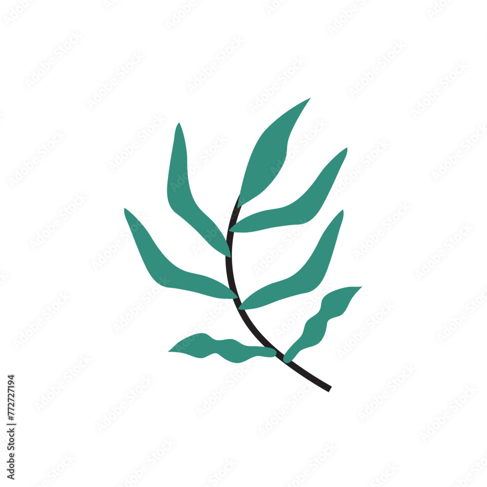 Minimalist Leaf Minimalist Leaf