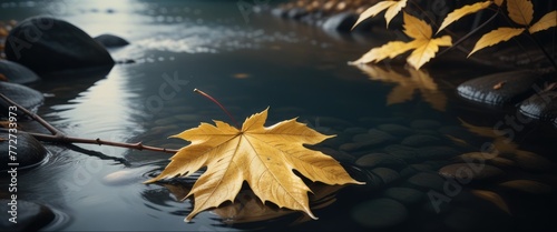 Yellow Leaf Glistening with Water  Displaying Nature s Brilliant Beauty