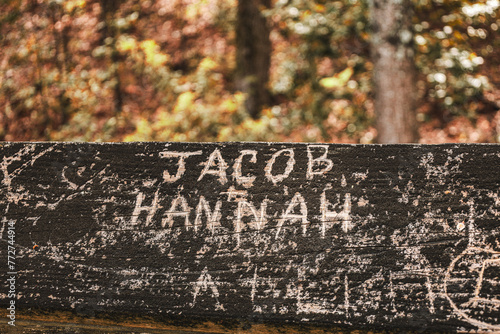 Names carved in wood