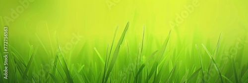 Grass Green Background For Graphic Design, Background Designer