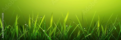 Grass Green Background For Graphic Design, Background Designer