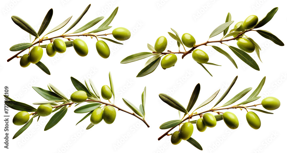 Set of olive branches with ripe and delicious olives, cut out - obrazy, fototapety, plakaty 
